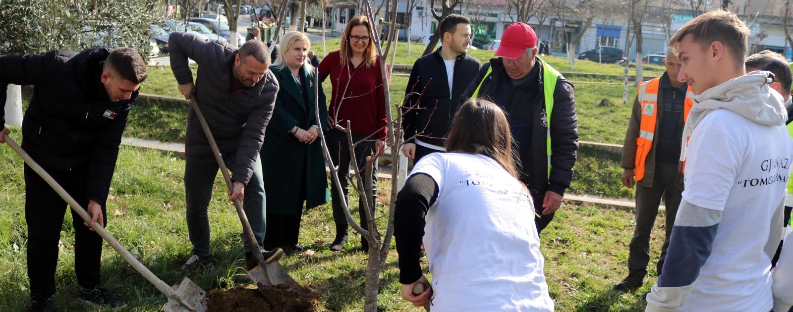 Njihuni me Inisiativën e Gjelbër të të Rinjve të Cërrikut 