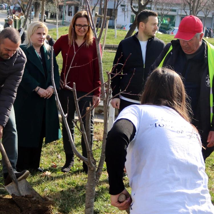 Let's Learn About the Green Initiative of the Youth of Cërrik 