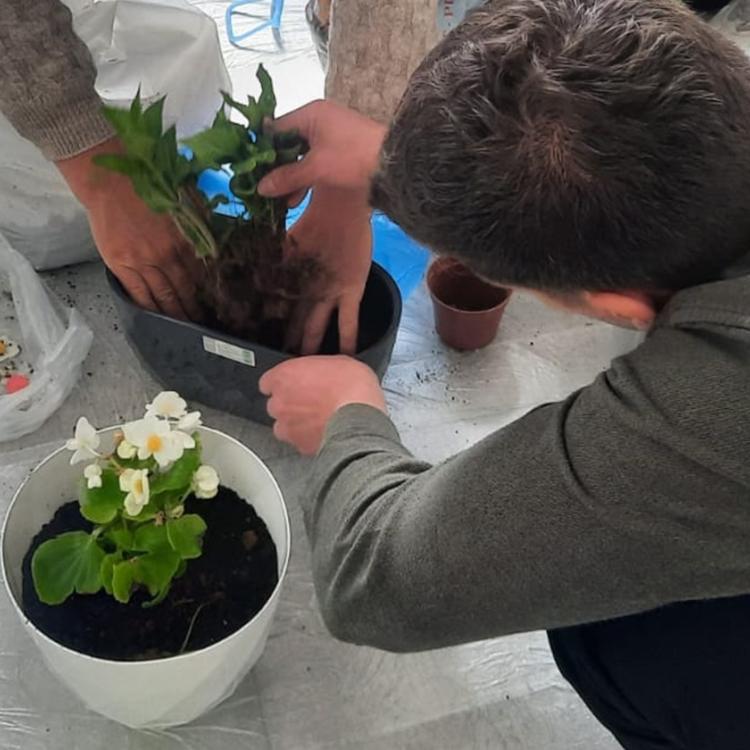 International Family Day, Young People Engage Together with Parents in Support of the Environment